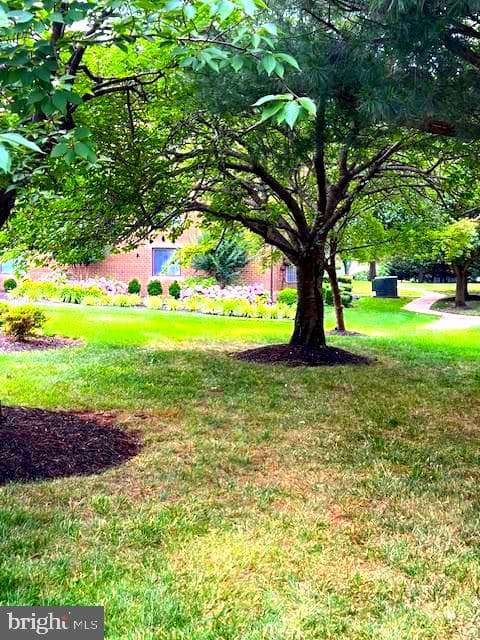 563 Florida Avenue #104 photo 5