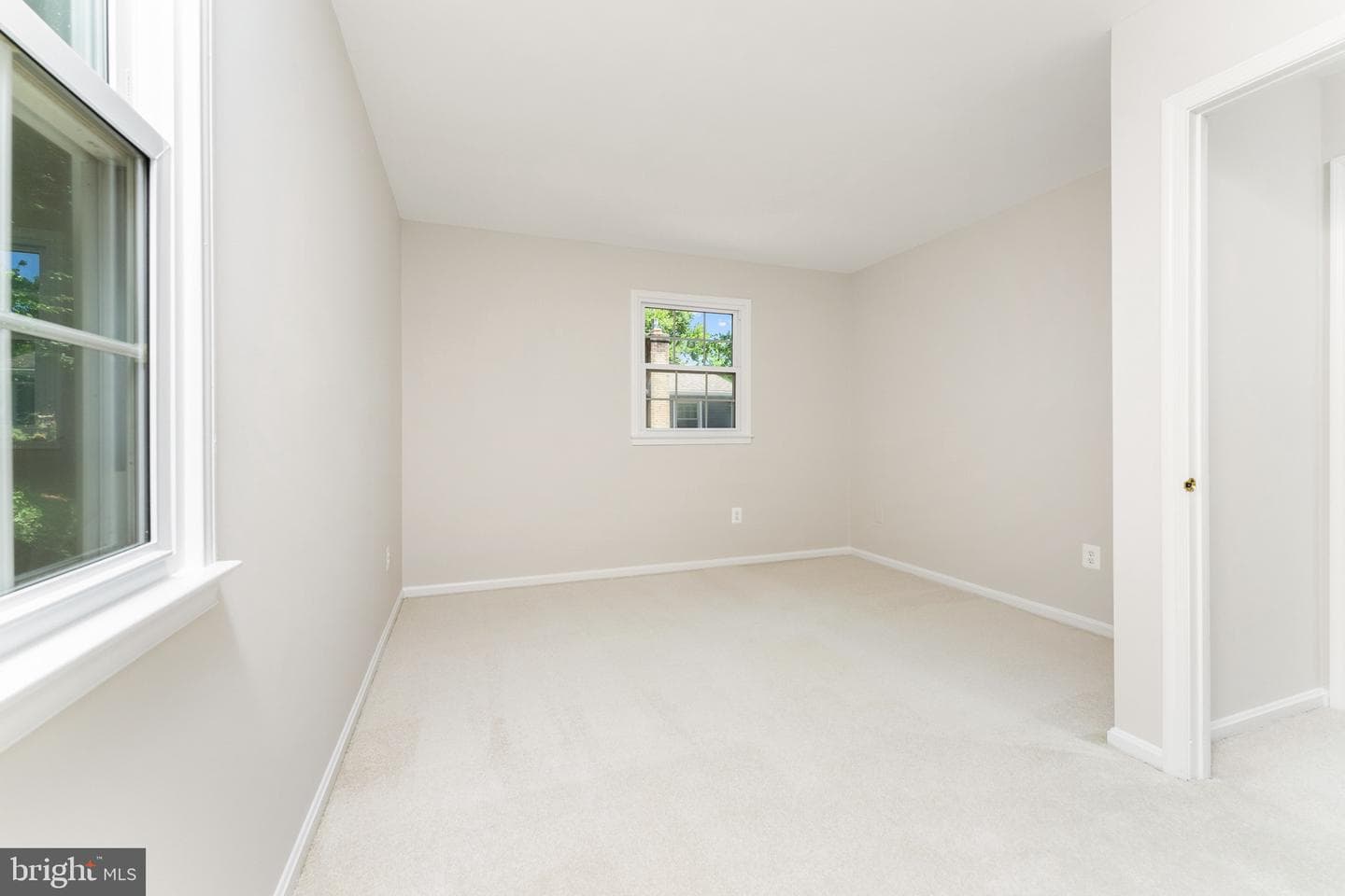 7016 Cottontail Court photo 18
