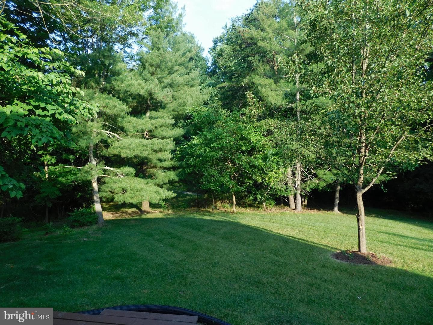 12779 Flat Meadow Lane photo 59