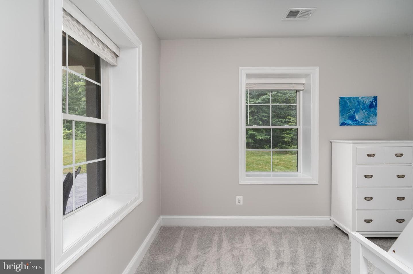 11319 Bellmont Drive photo 53