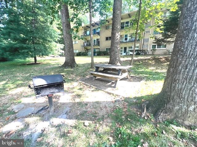 4915 Americana Drive #103 photo 22