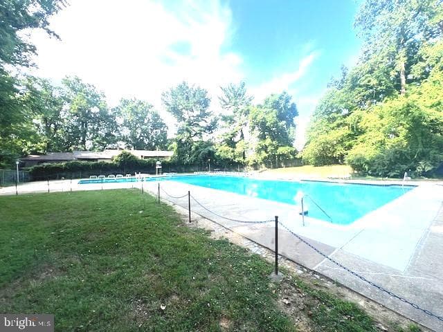 4915 Americana Drive #103 photo 29
