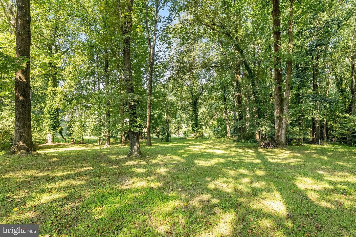 1708 Beulah Road photo 23