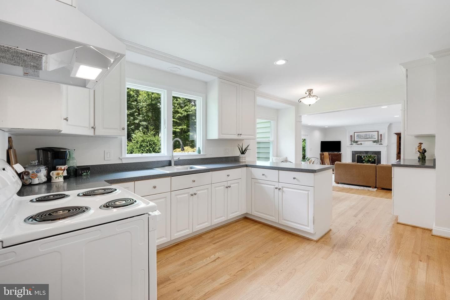 5404 Dranes Tavern Drive photo 10