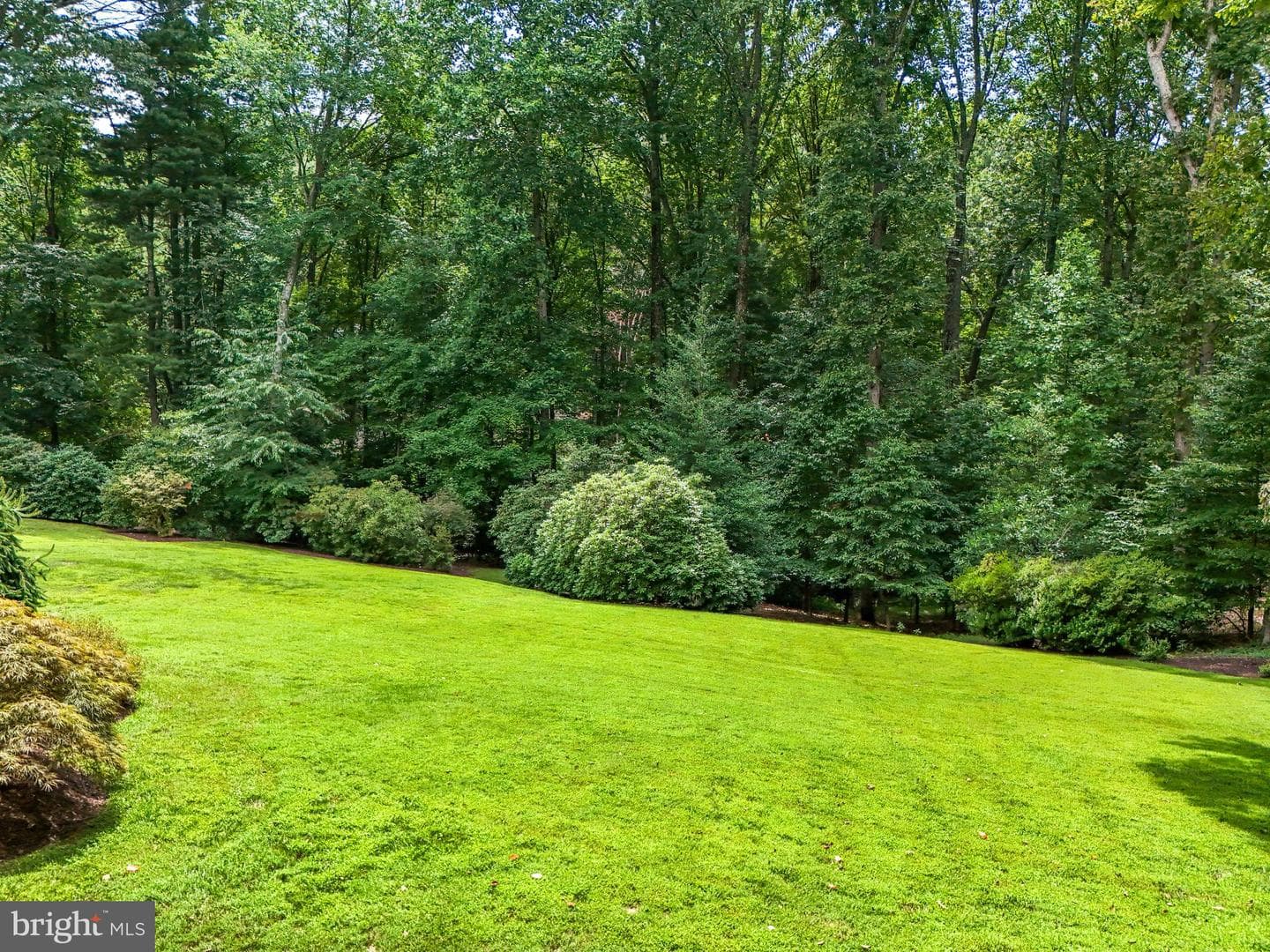 5404 Dranes Tavern Drive photo 35