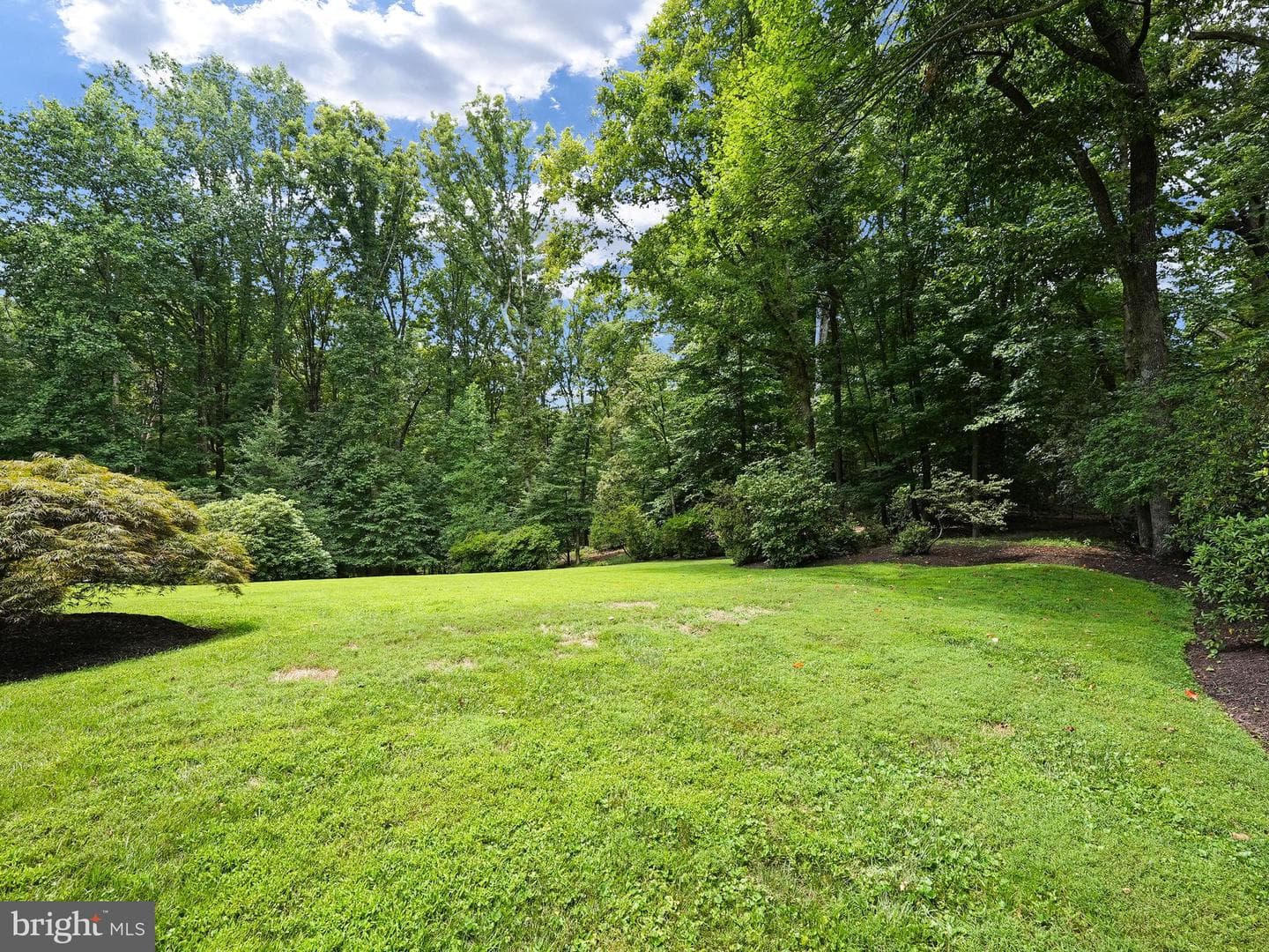 5404 Dranes Tavern Drive photo 39