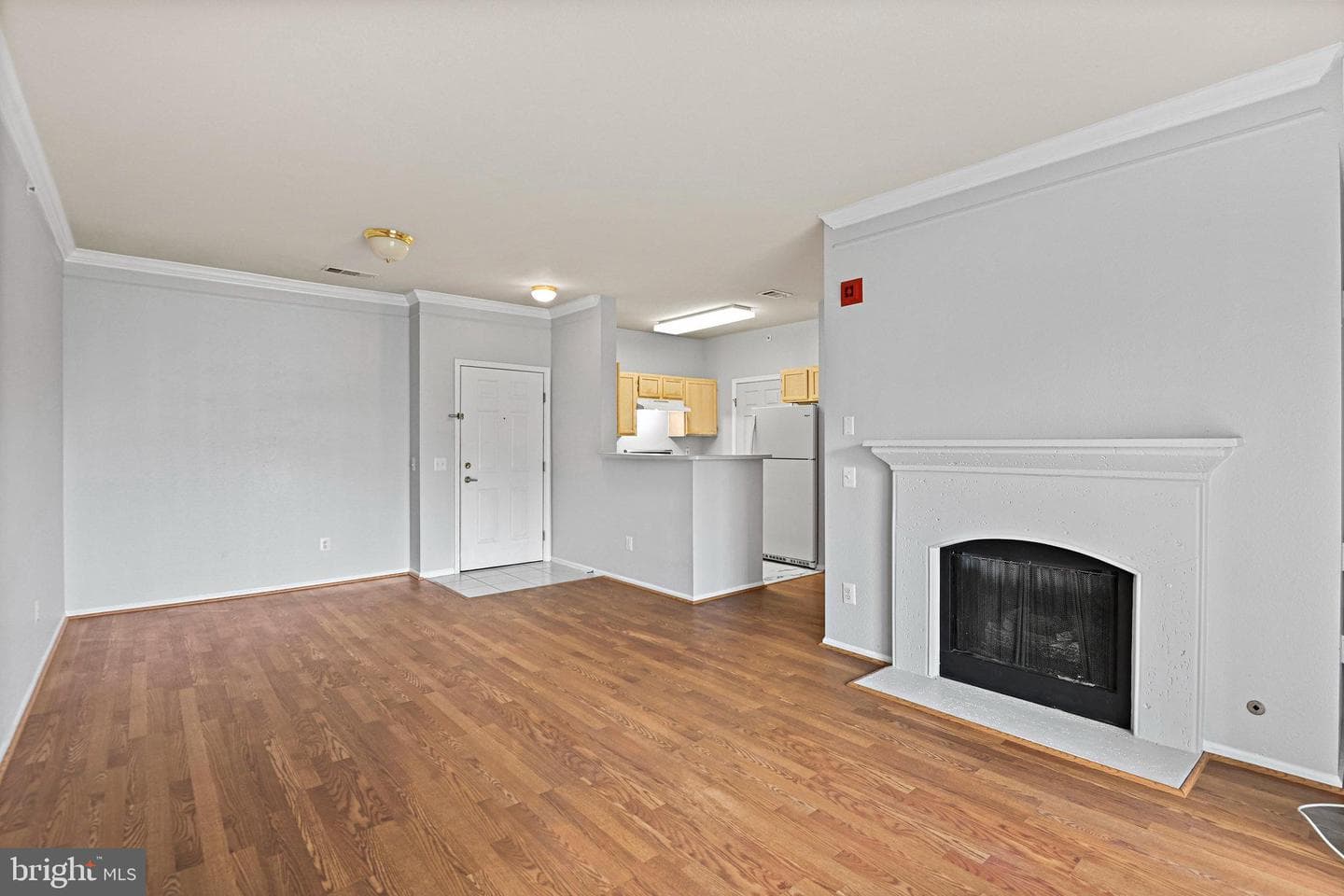 1601 Spring Gate Drive #1412 photo 6