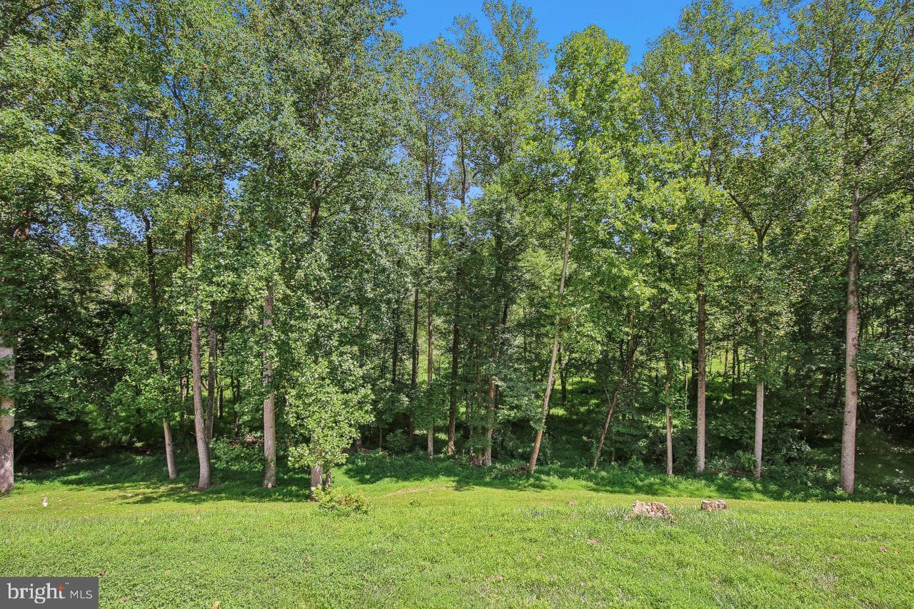 1409 Wynhurst Lane photo 84