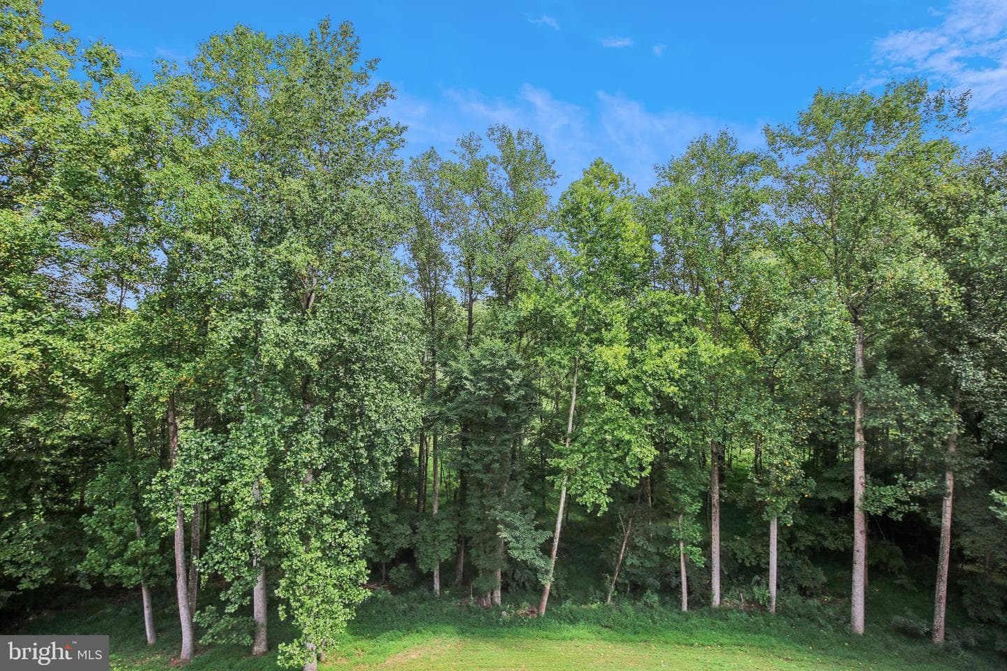 1409 Wynhurst Lane photo 85