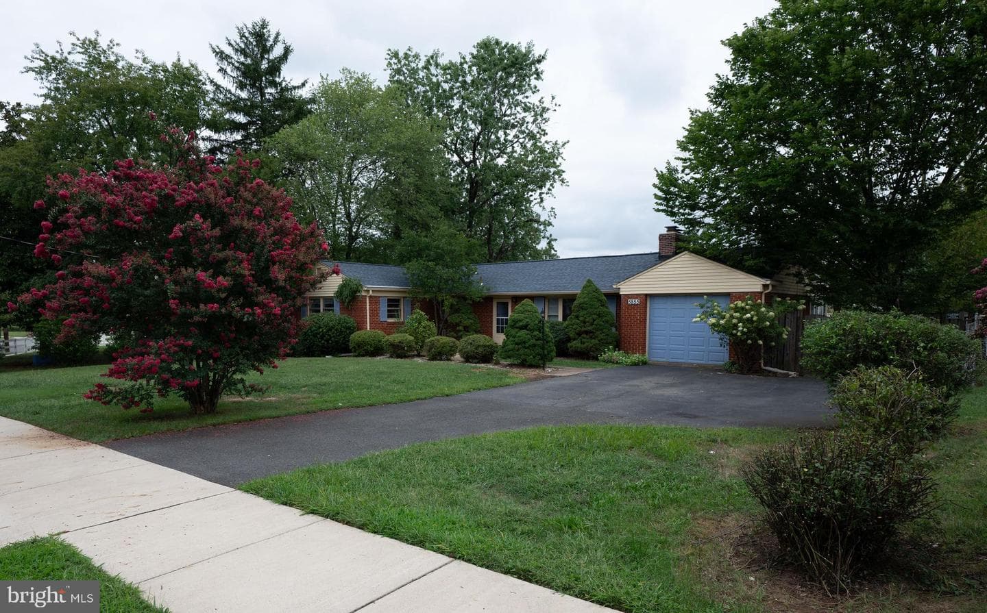 5855 Glen Forest Drive photo 2