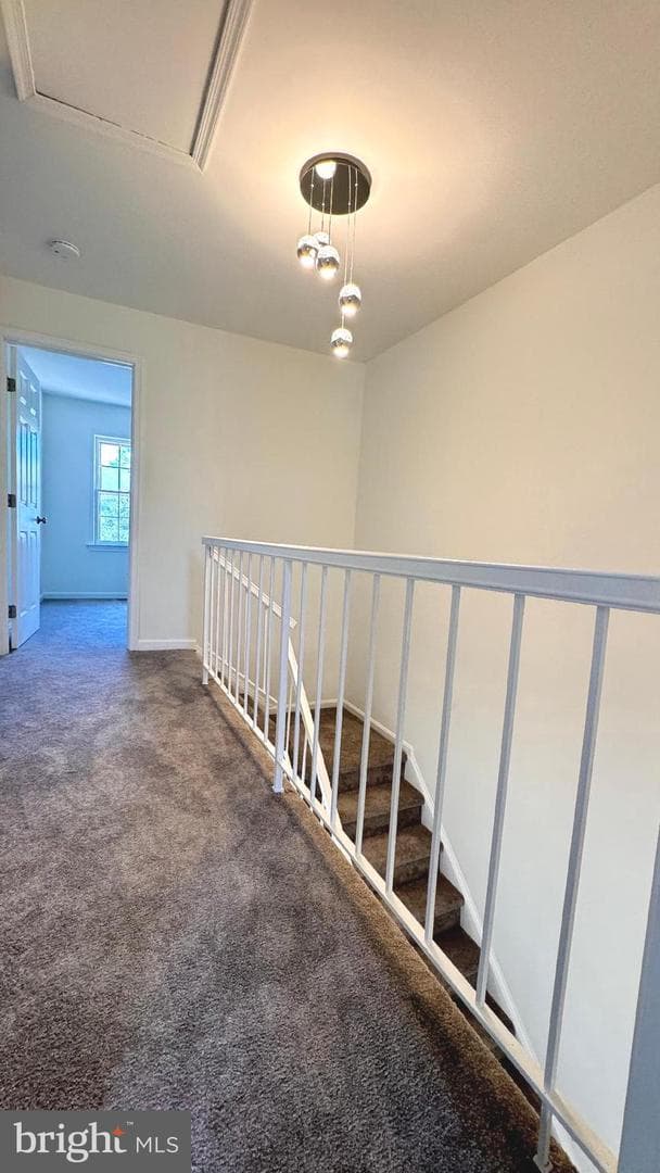8014 Dayspring Court photo 17