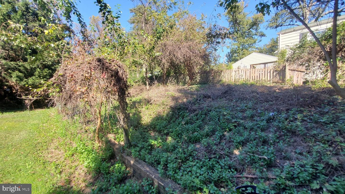 6910 Mount Daniel Drive photo 11