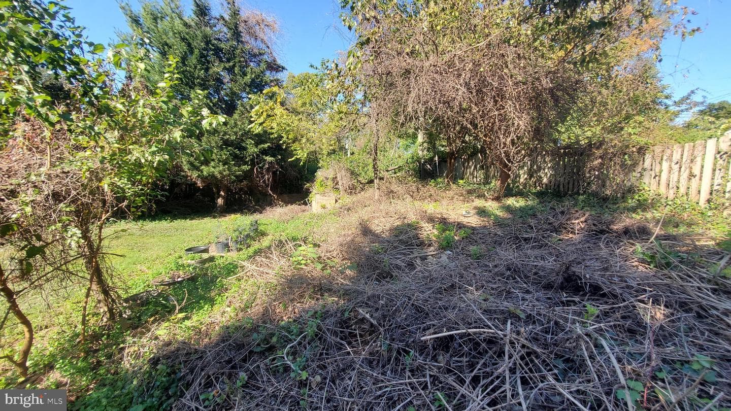 6910 Mount Daniel Drive photo 13
