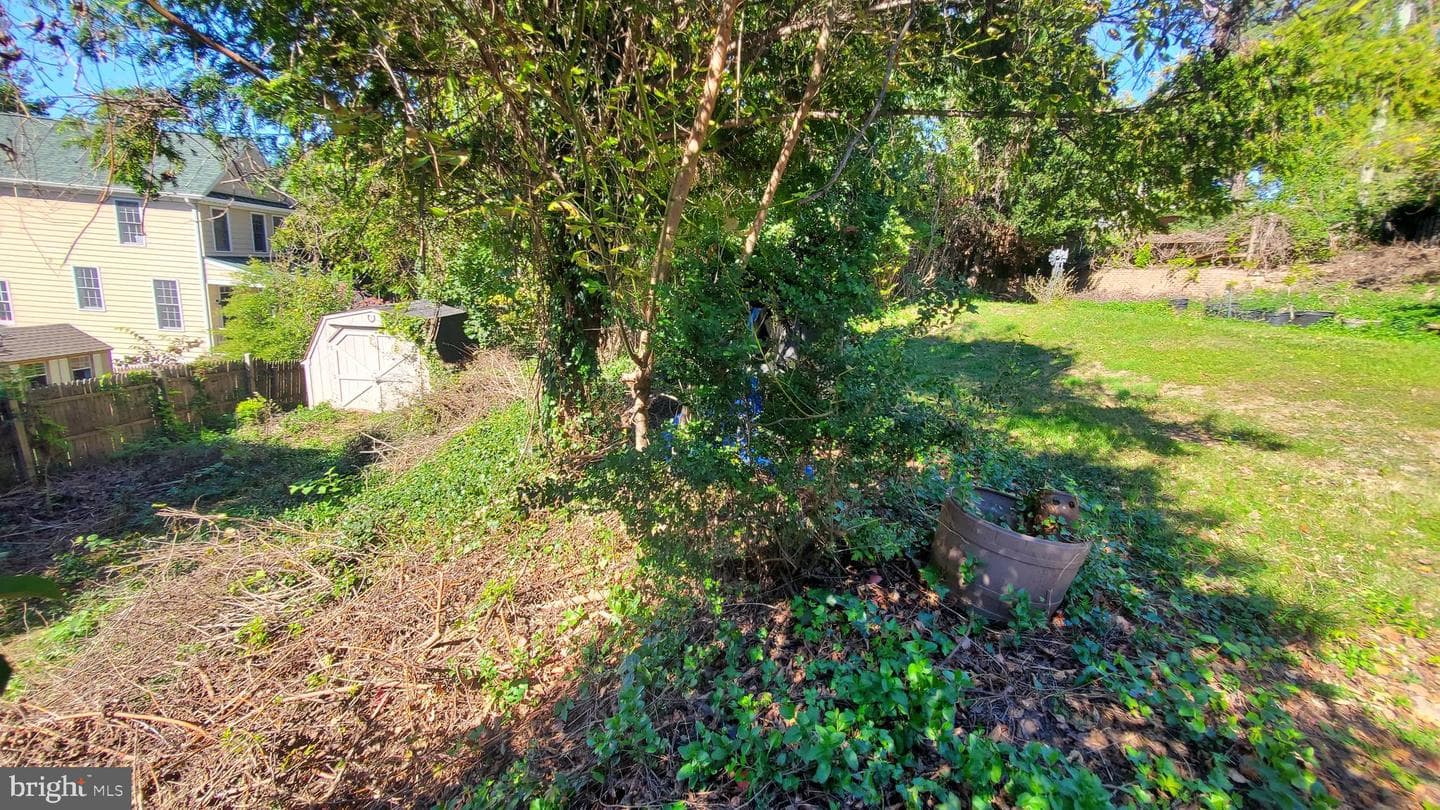 6910 Mount Daniel Drive photo 18