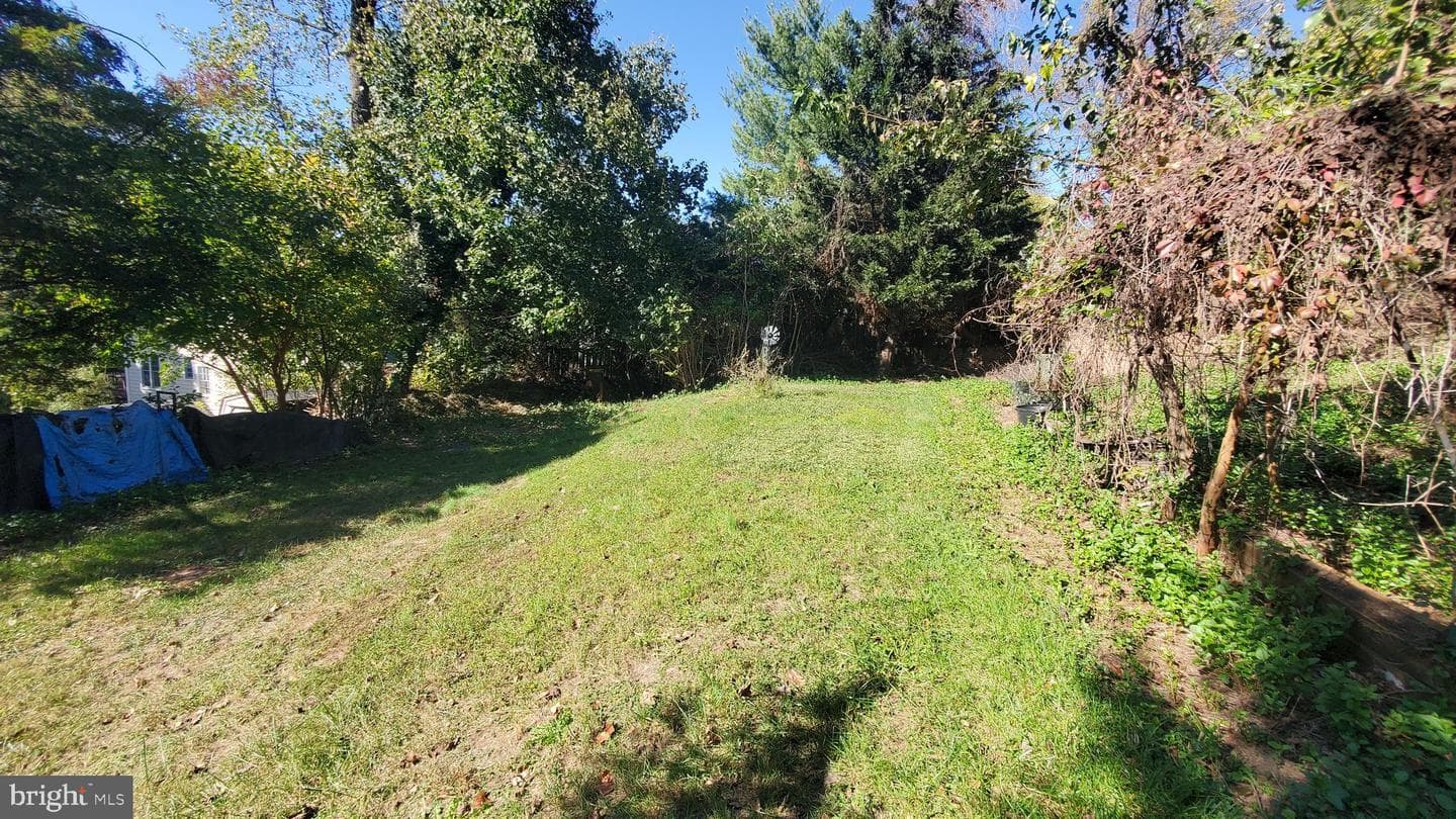 6910 Mount Daniel Drive photo 9