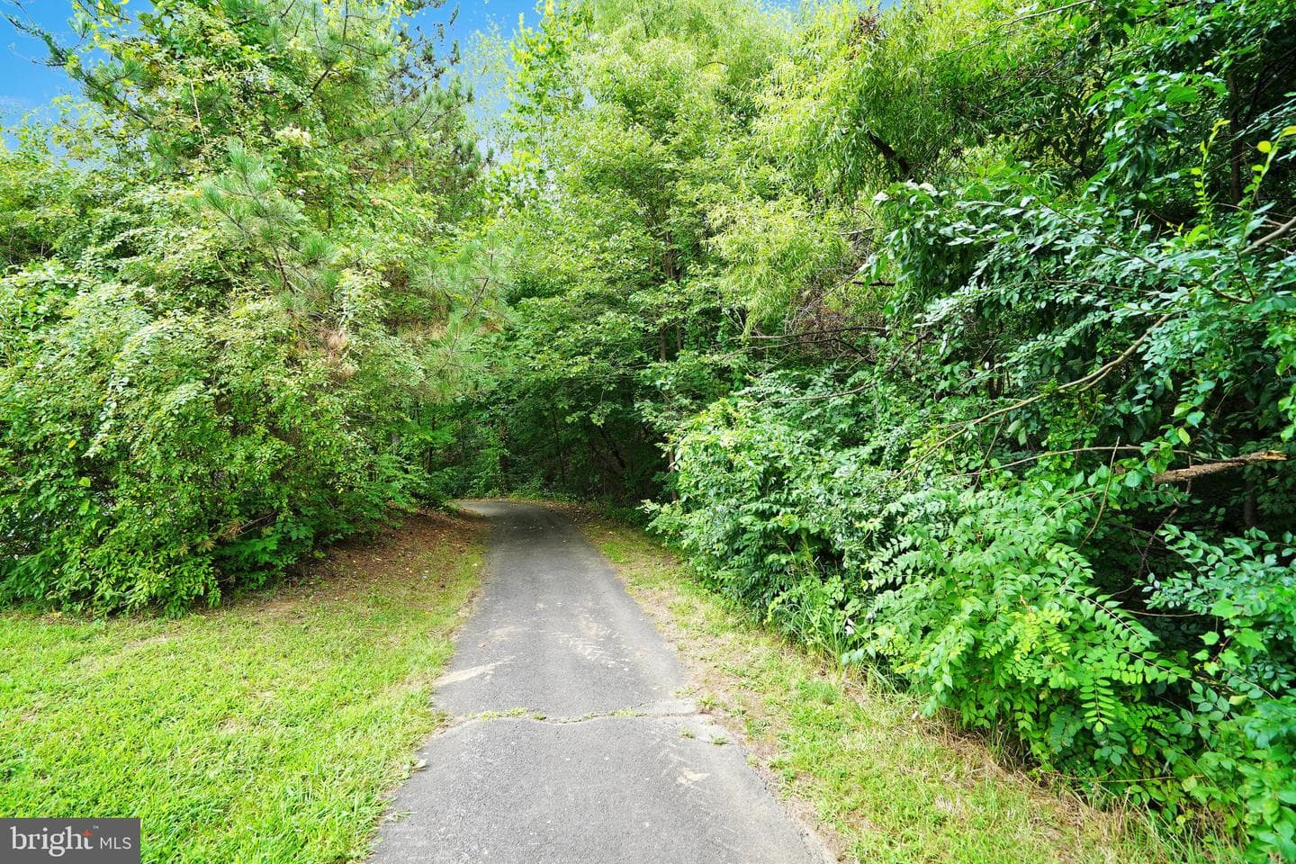 11456 Log Ridge Drive photo 43