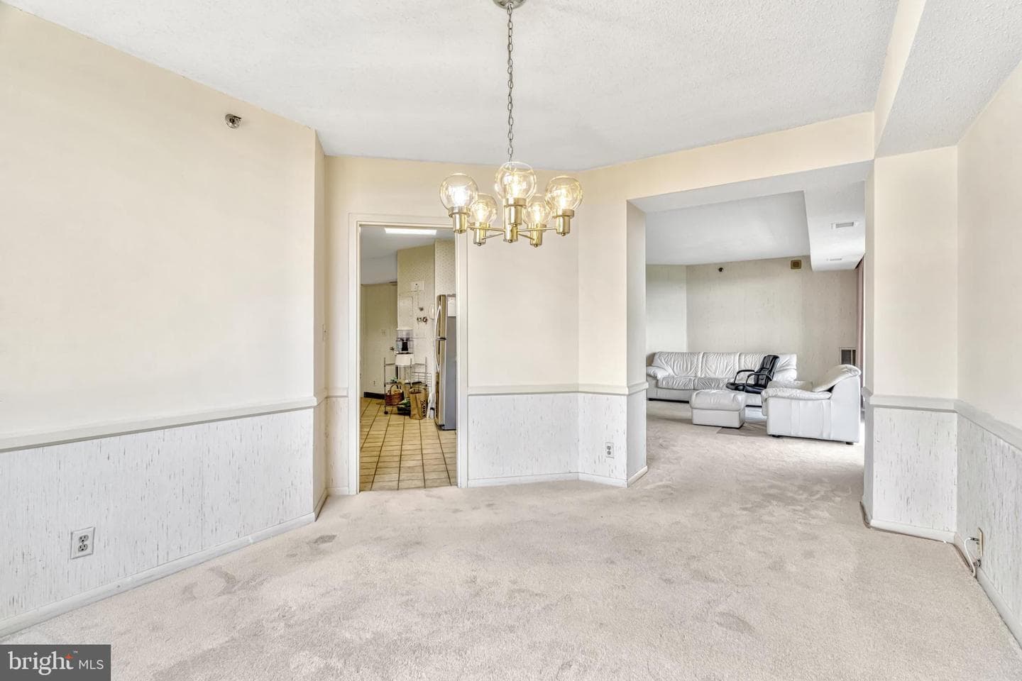5505 Seminary Road #1215n photo 18