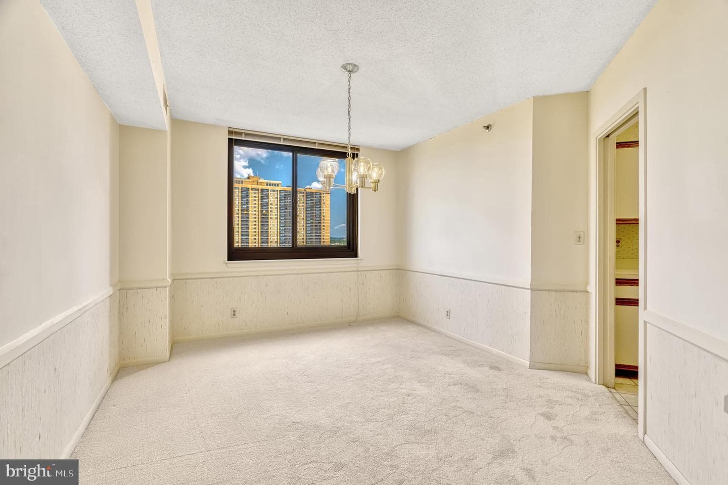 5505 Seminary Road #1215n photo 19