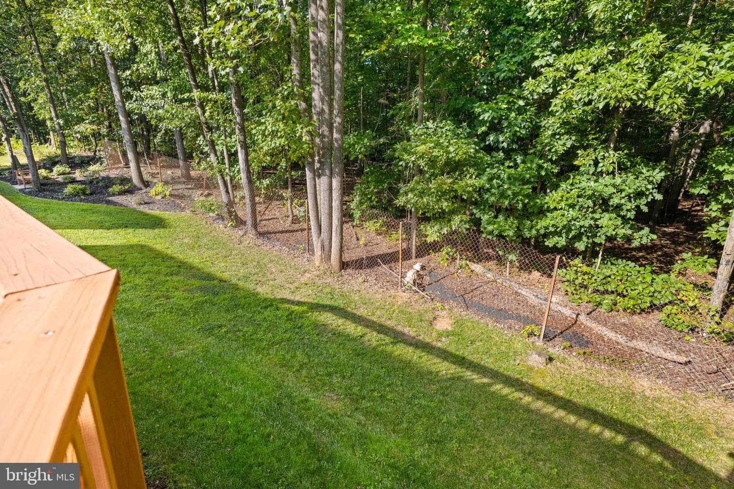 12345 Brown Fox Way photo 85