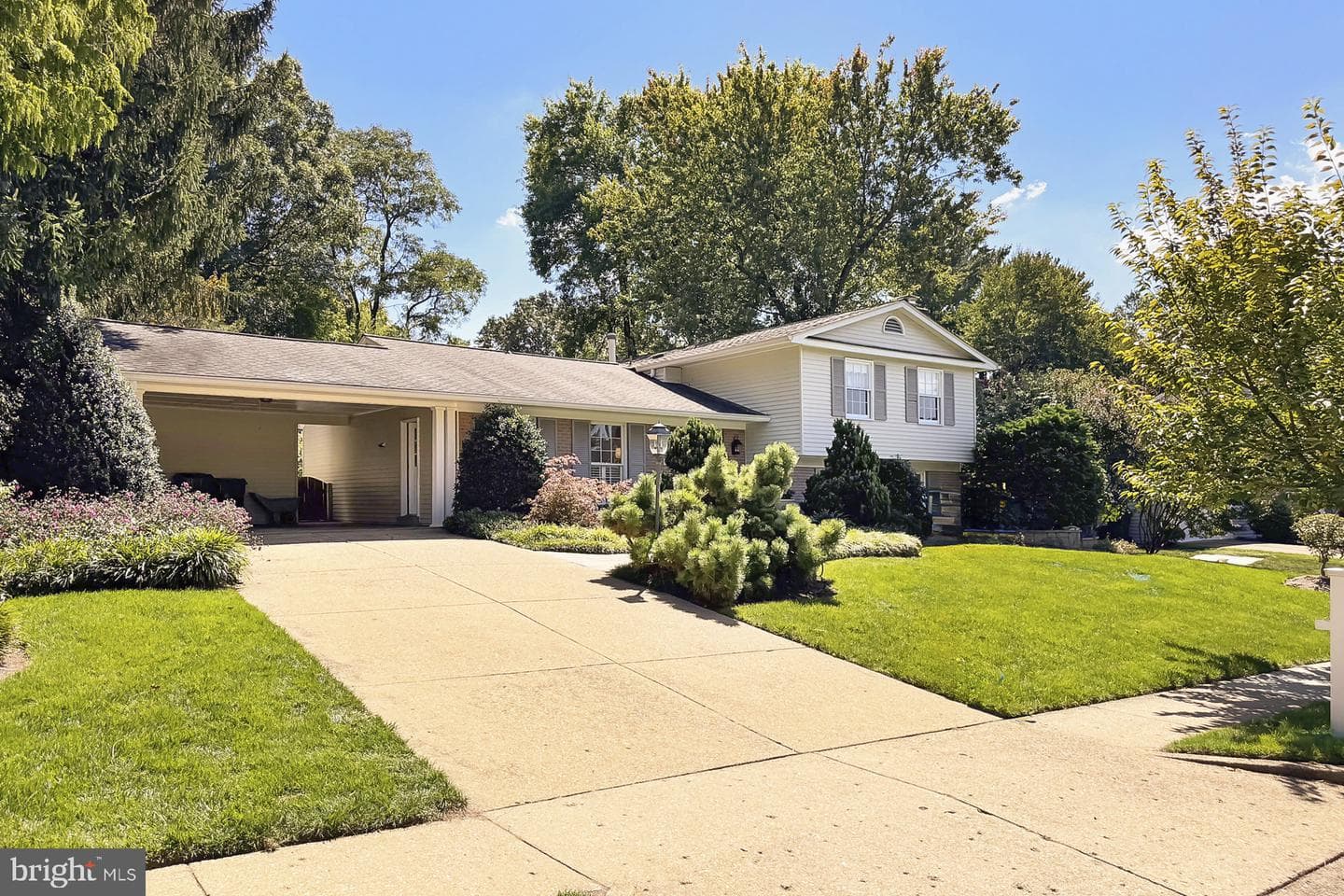 2503 W Meredith Drive photo 4