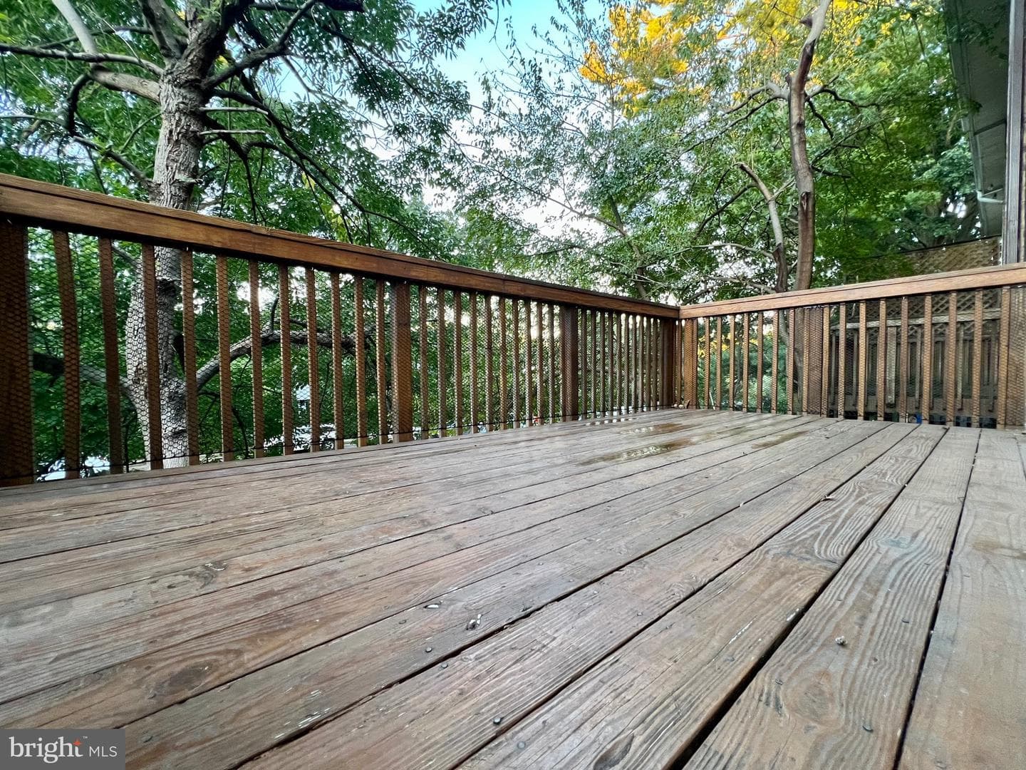 4401 Forest Glen Court #4401 photo 15