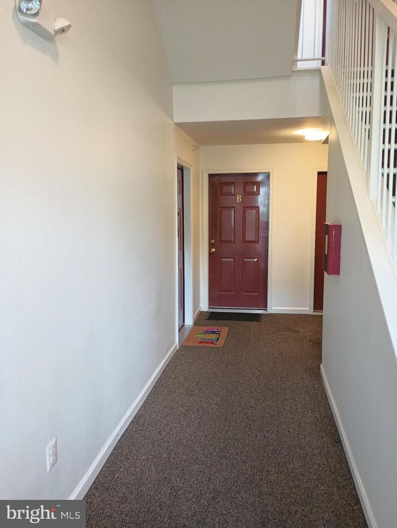 7514 Snowpea Court #148 photo 39