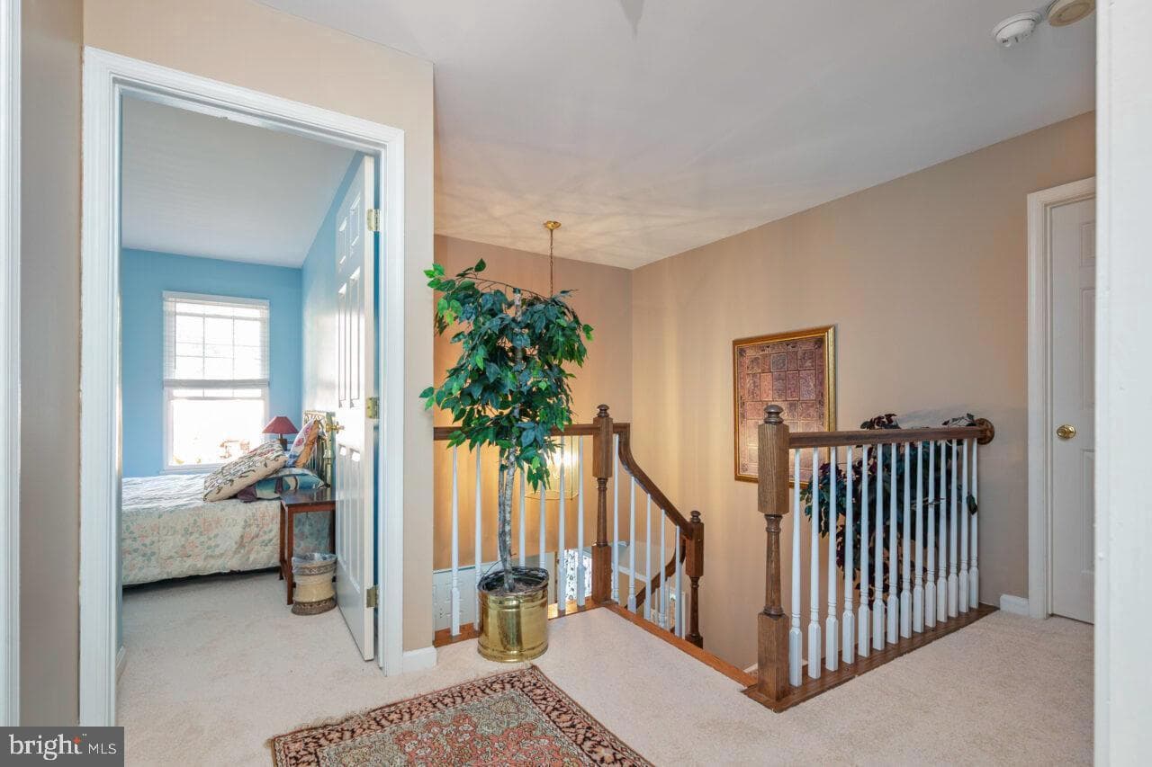 6805 Silver Ann Drive photo 32