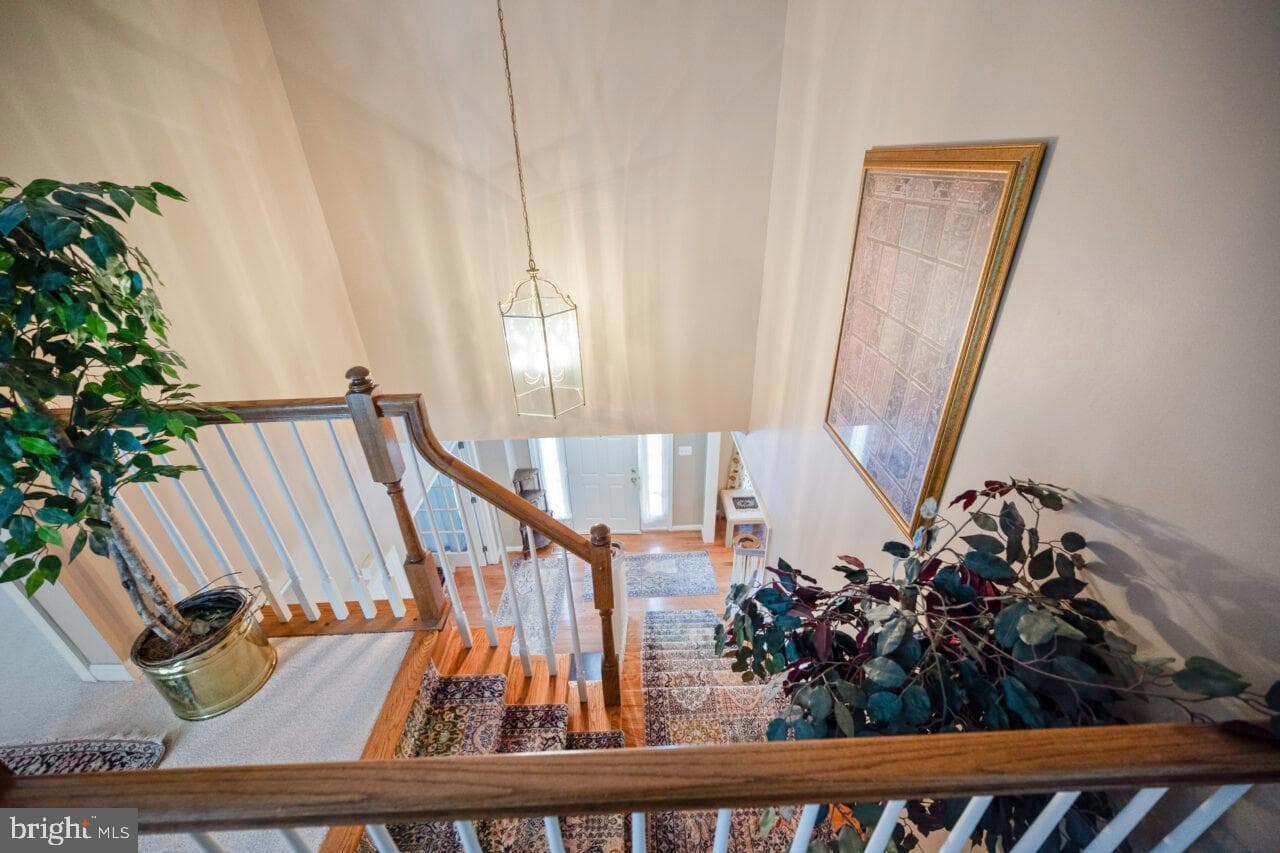 6805 Silver Ann Drive photo 33