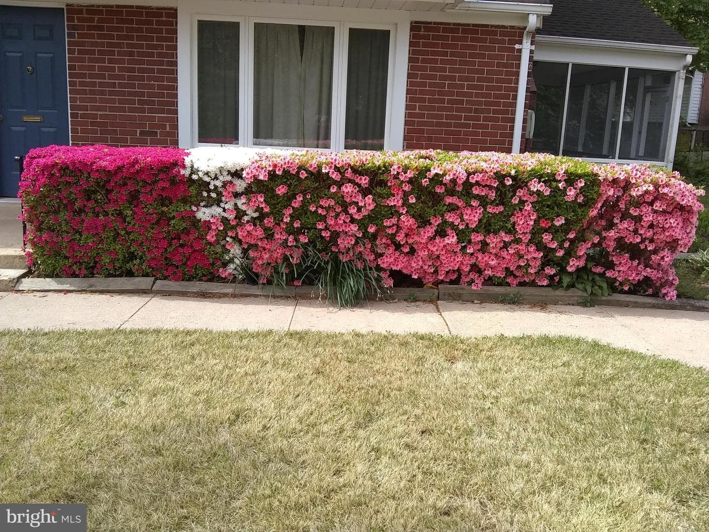 8517 Parliament Drive photo 44