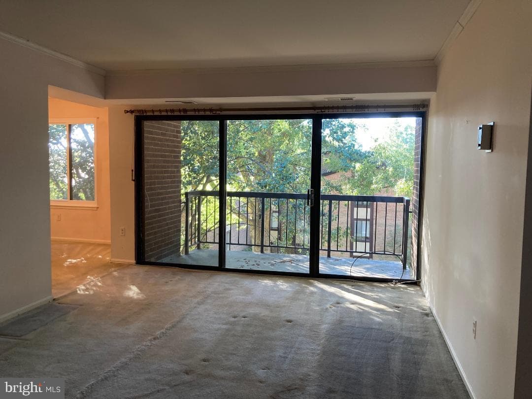 9708 Kingsbridge Drive #303 photo 3