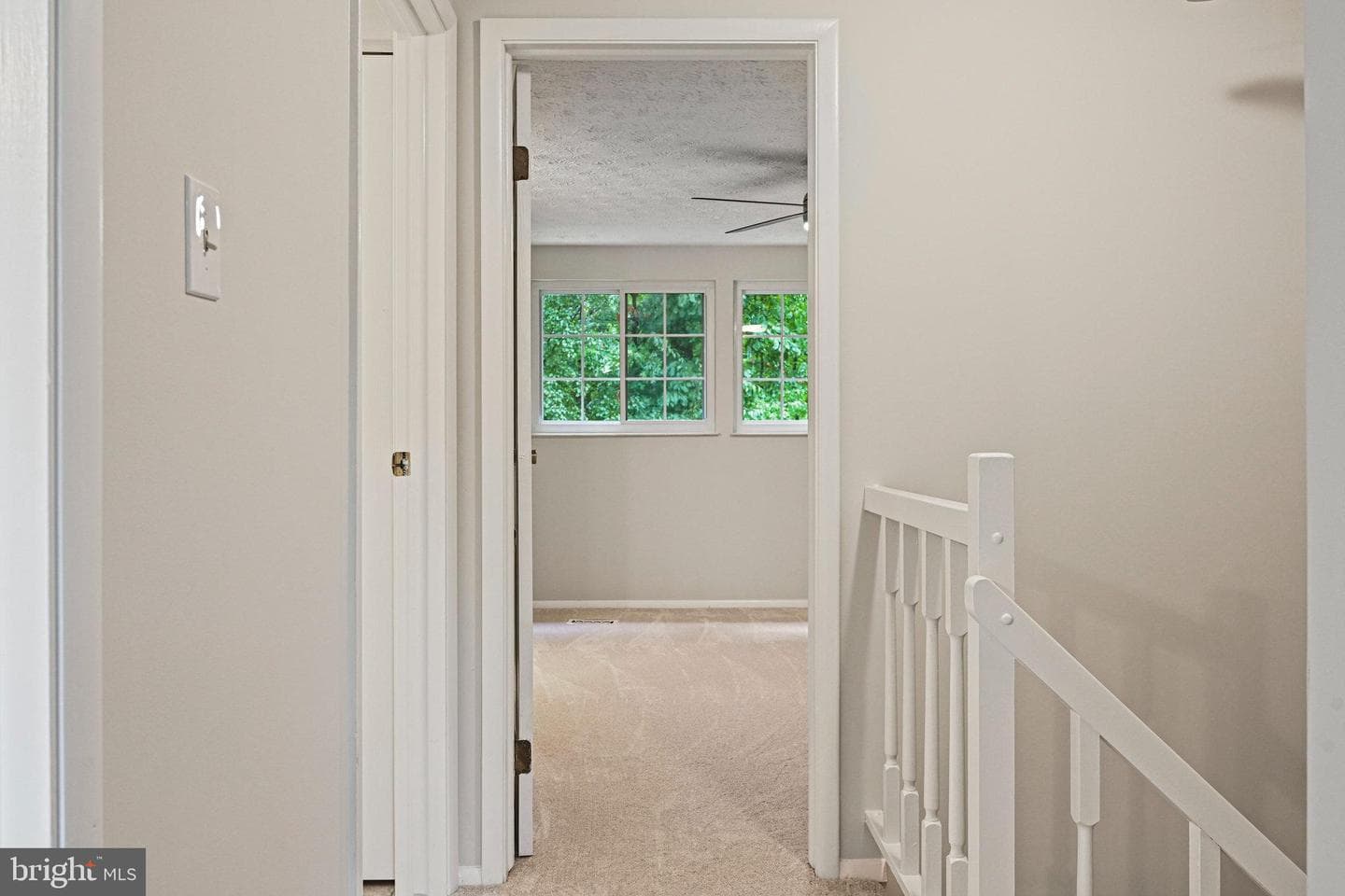 11570 Ivy Bush Court photo 15