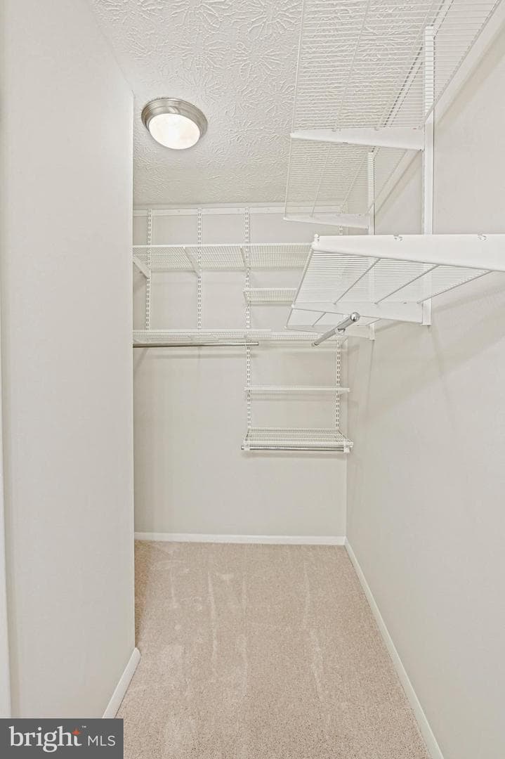 11570 Ivy Bush Court photo 21