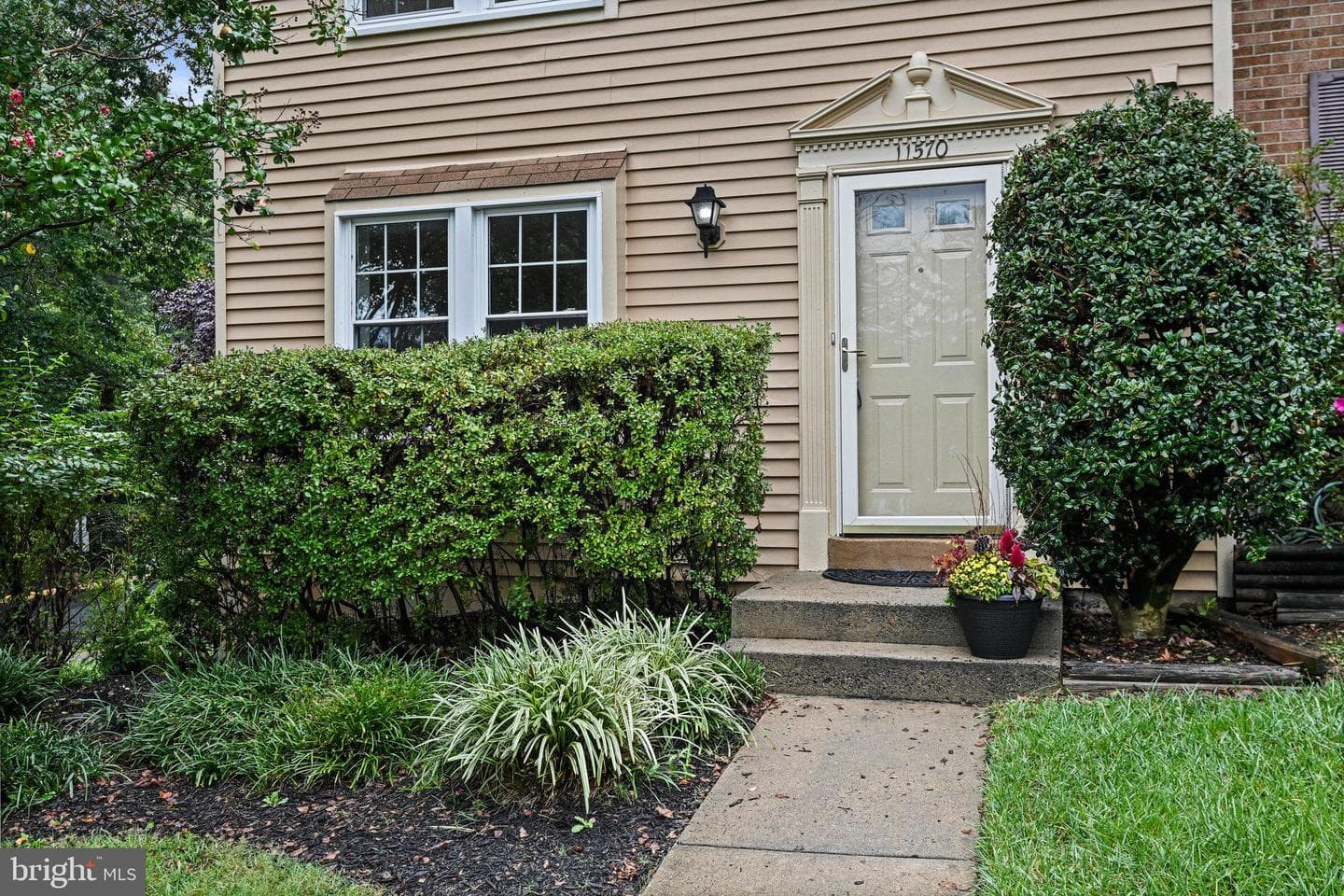 11570 Ivy Bush Court photo 3
