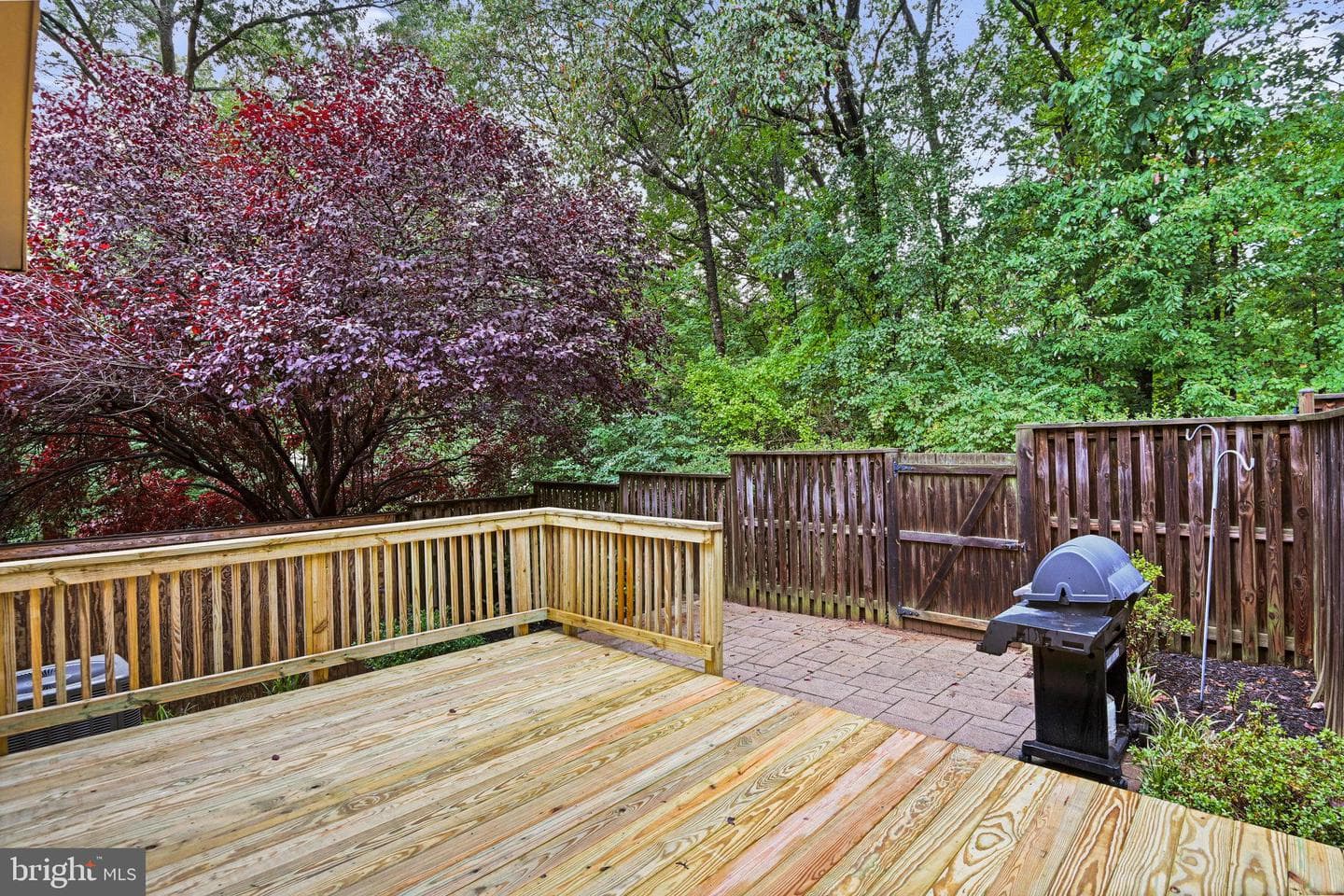 11570 Ivy Bush Court photo 35