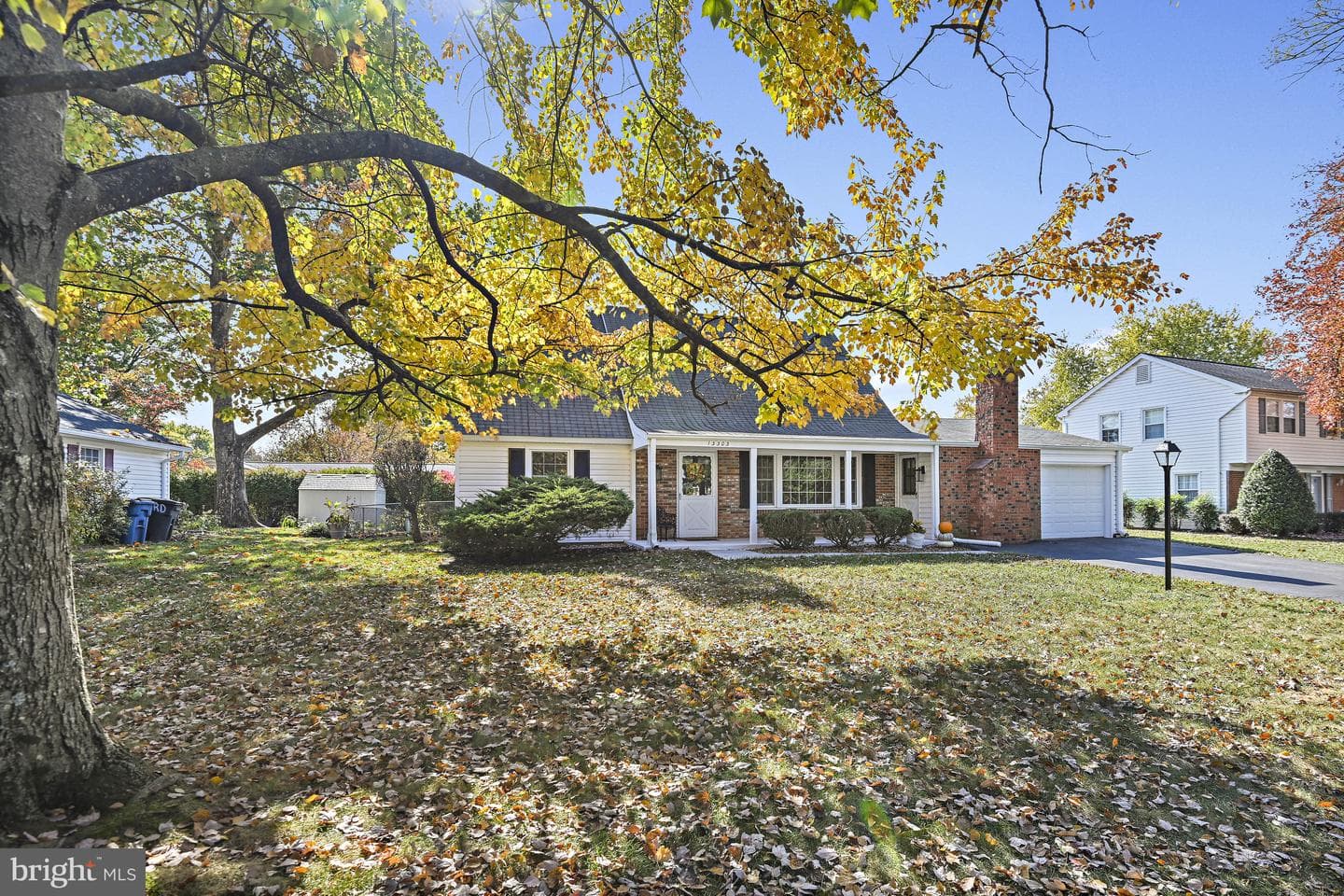 13303 Poplar Tree photo 2
