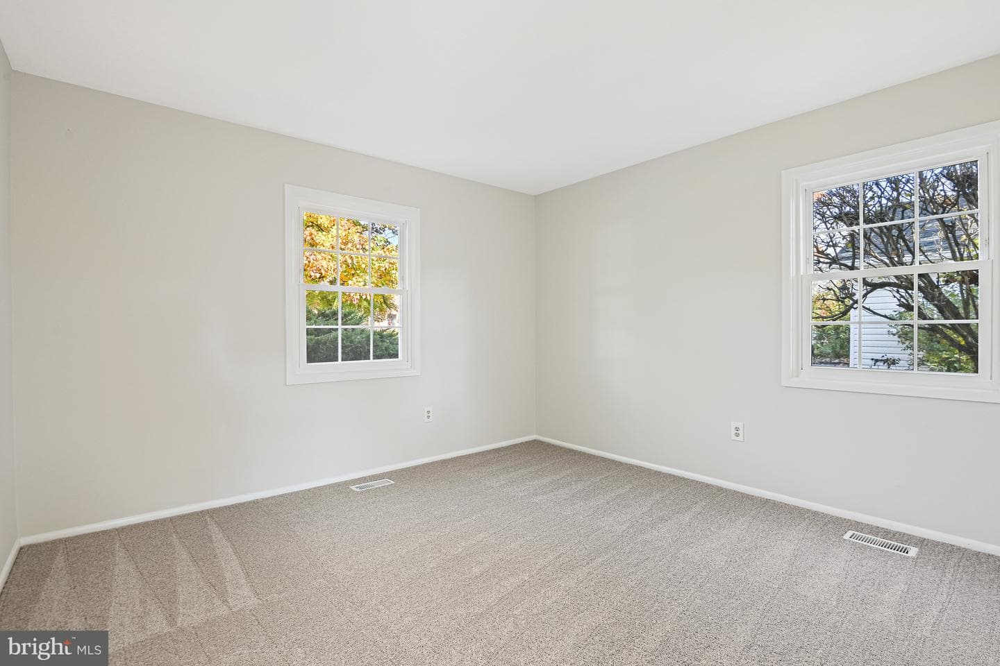 13303 Poplar Tree photo 22