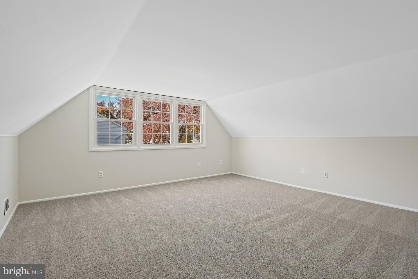 13303 Poplar Tree photo 26