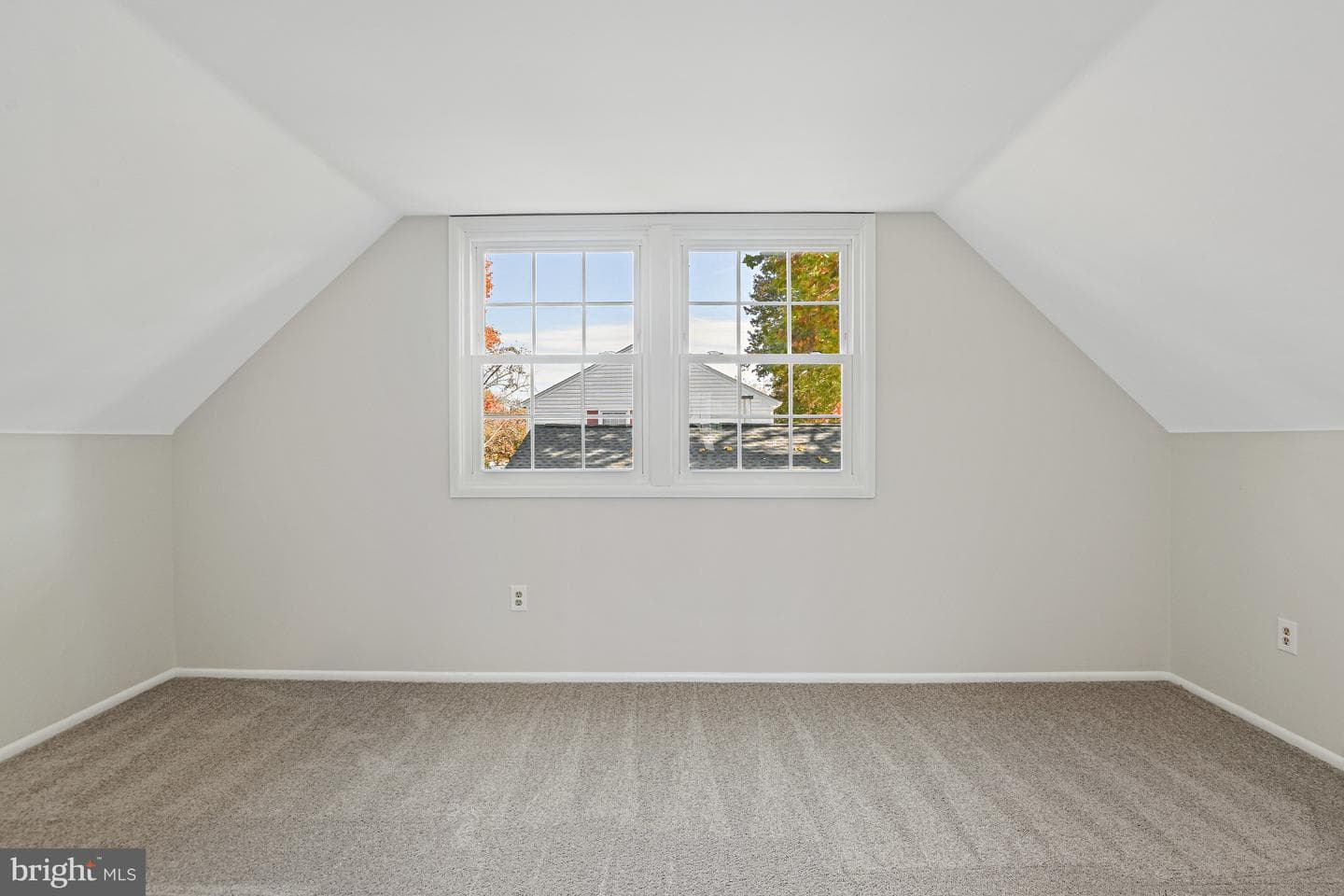 13303 Poplar Tree photo 31