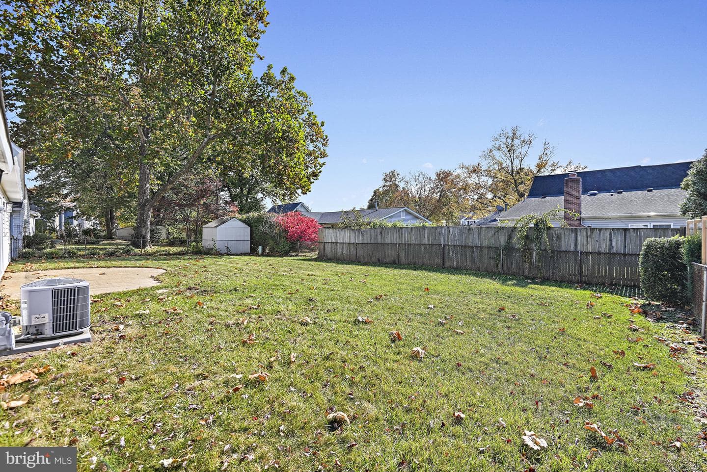 13303 Poplar Tree photo 38