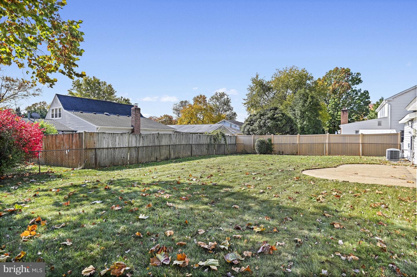13303 Poplar Tree photo 42