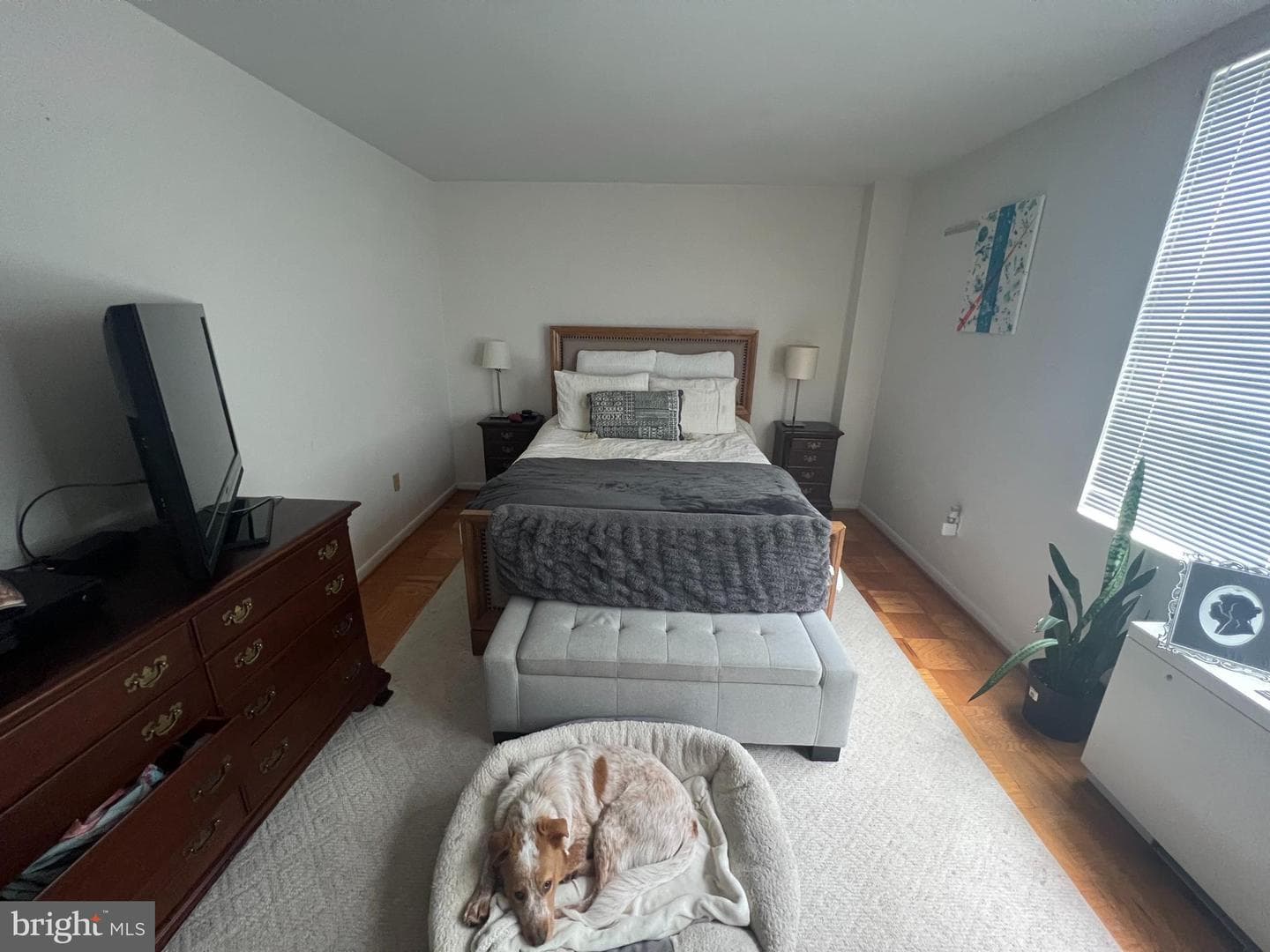 6621 Wakefield Drive #316 photo 5