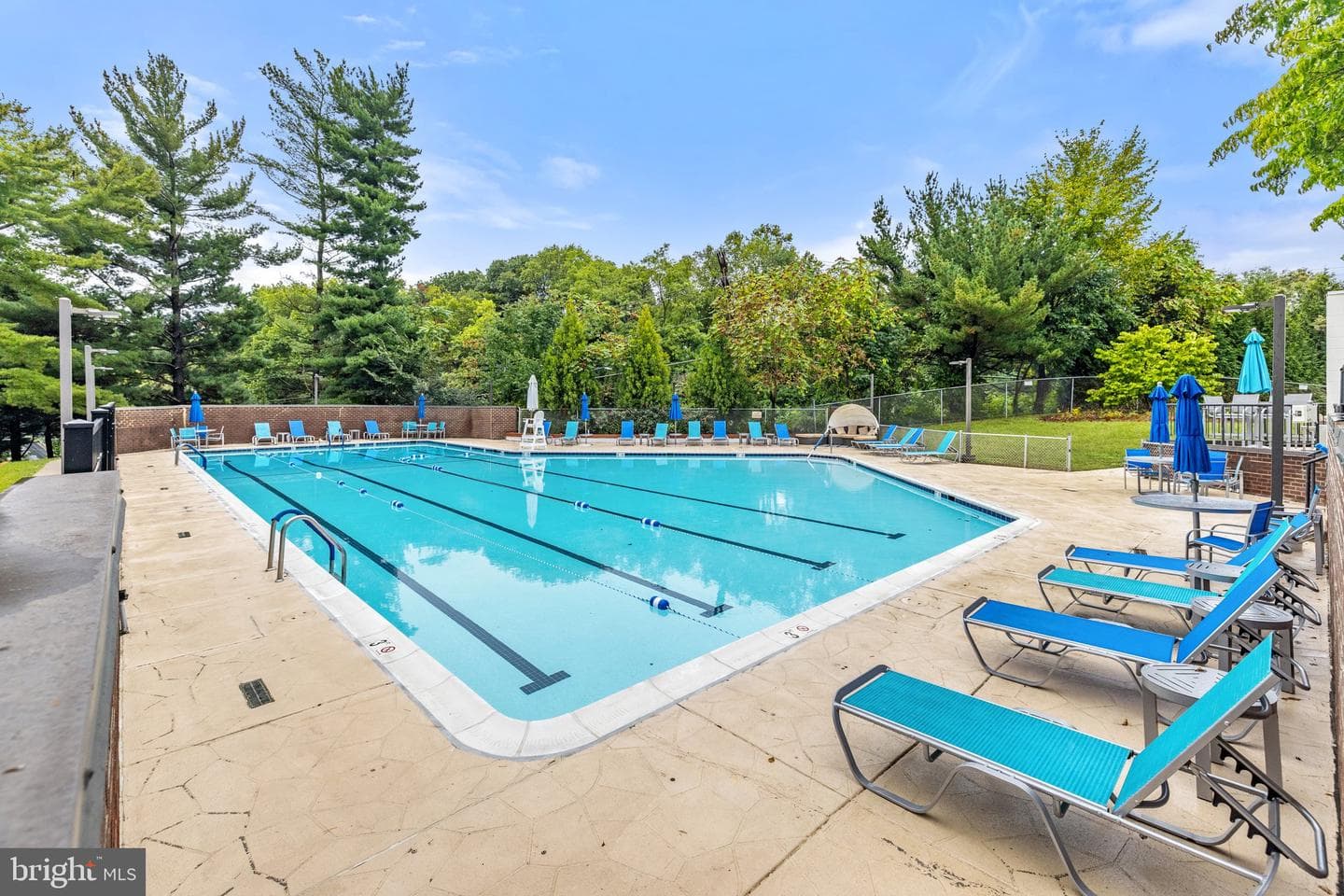 3800 Powell Lane #1125 photo 42