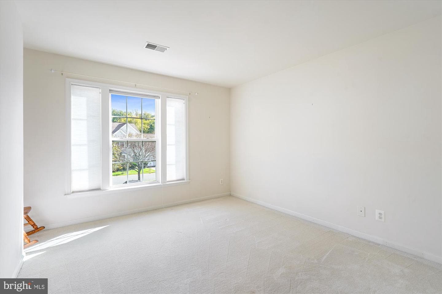 12342 Brown Fox Way photo 24
