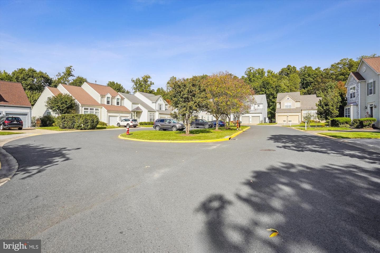12342 Brown Fox Way photo 3