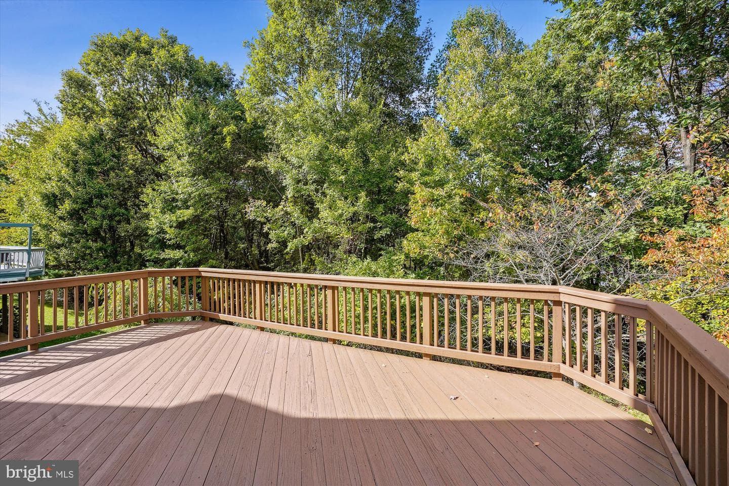 12342 Brown Fox Way photo 31