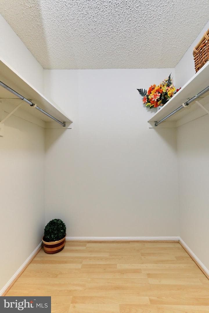 5903 Mount Eagle Drive #111 photo 28