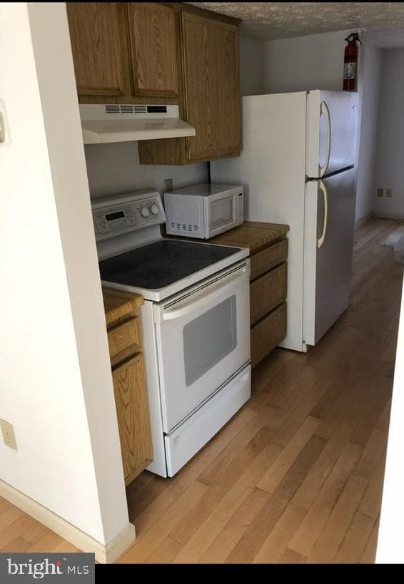 8311 Bark Tree Court photo 5