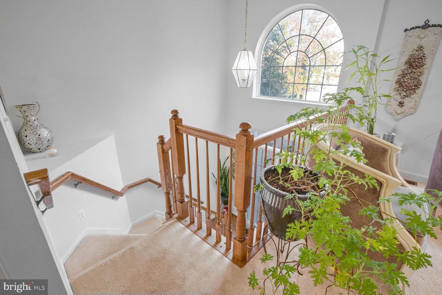 4152 Zinnia Lane photo 4