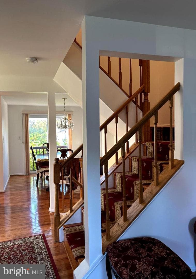 6573 Rundale Court photo 11