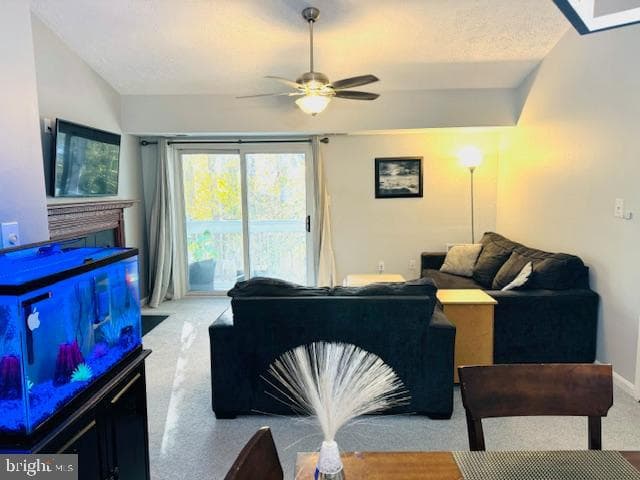 8604 Shadwell Drive #33 photo 10